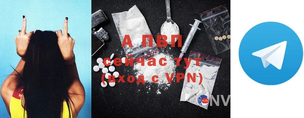 PSILOCYBIN Ростов