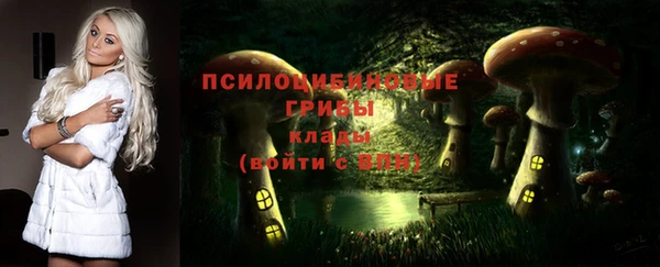 PSILOCYBIN Ростов