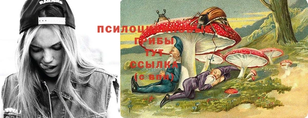 PSILOCYBIN Ростов
