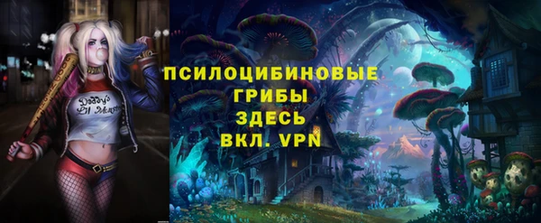 PSILOCYBIN Ростов
