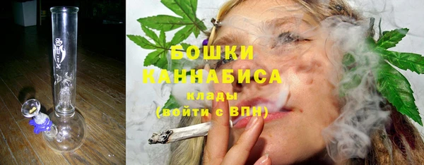 PSILOCYBIN Ростов