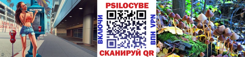Псилоцибиновые грибы мицелий Шали