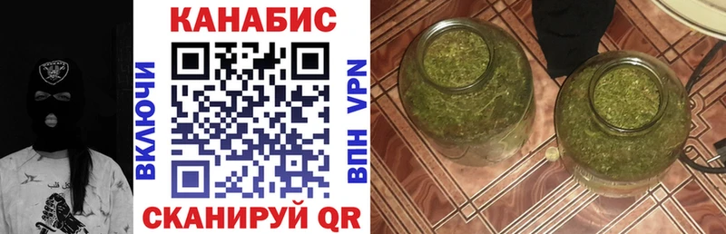 Конопля семена  купить  цена  Шали 